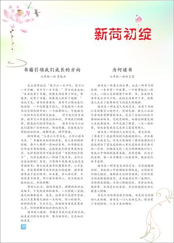 页码(31)