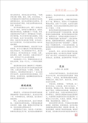 页码 (30)