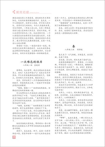 页码 (31)