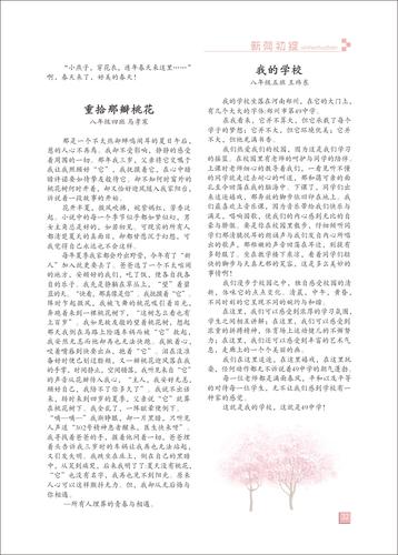 页码 (32)