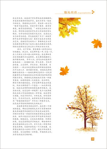 页码 (10)