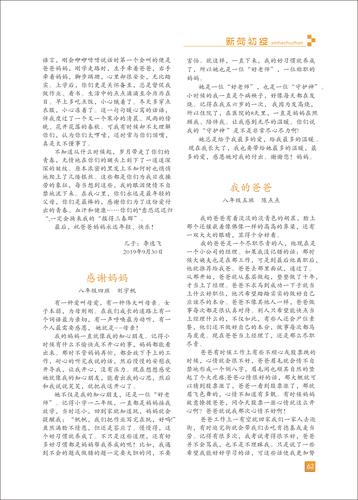 页码 (62)
