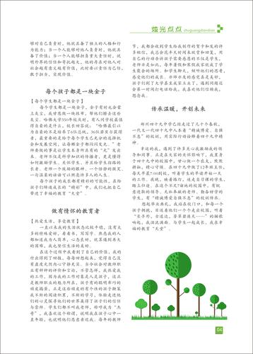 页码 (4)