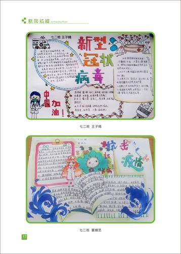 页码 (17)