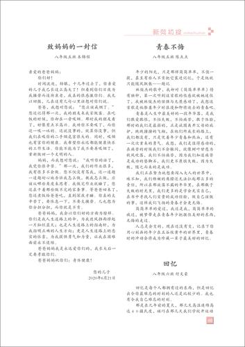 页码 (48)