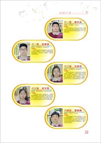 页码 (84)