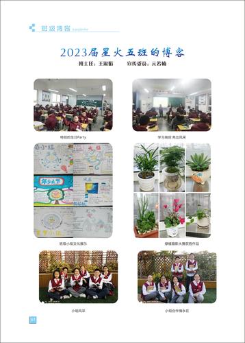 页码 (61)