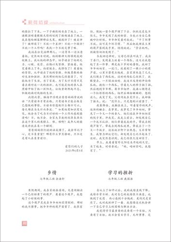 页码 (43)