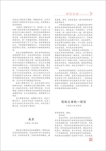 页码 (46)