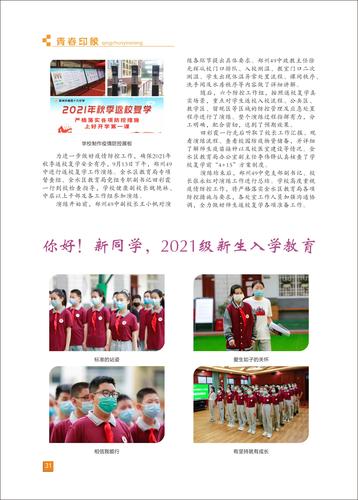页码 (31)