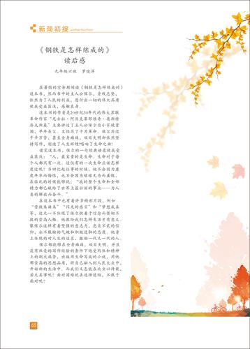 页码 (65)