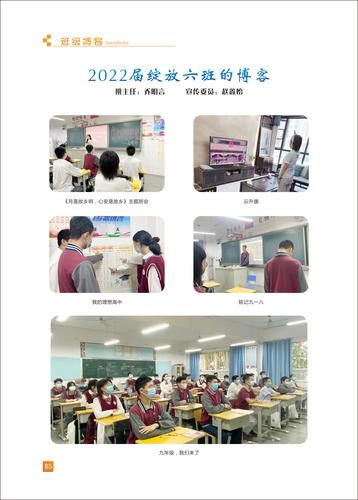 页码 (85)