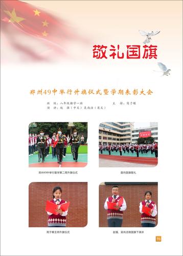 页码 (96)