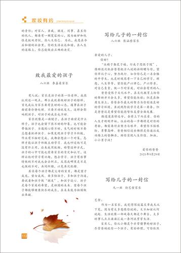页码 (113)