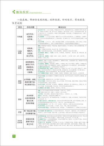 页码 (17)