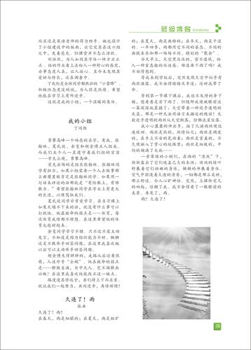页码 (38)
