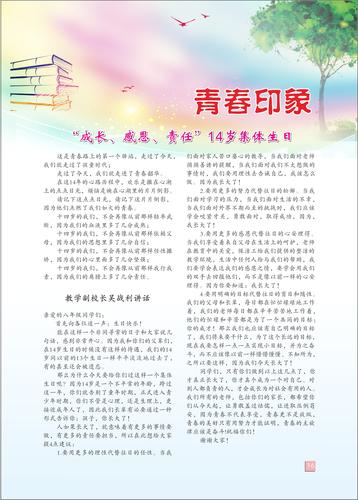 页码 (16)