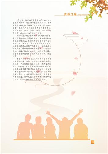 页码 (38)