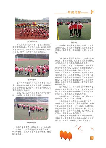 页码 (110)