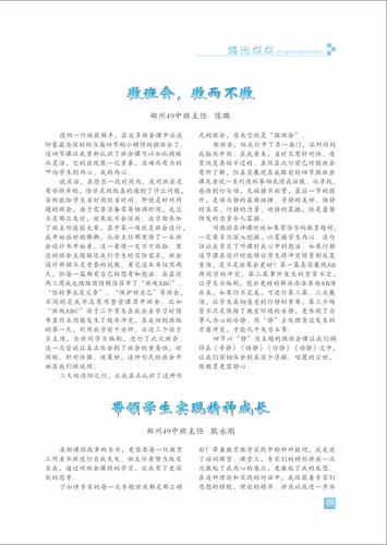 页码 (8)