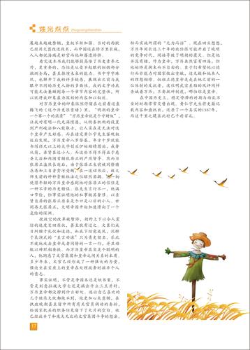 页码 (17)