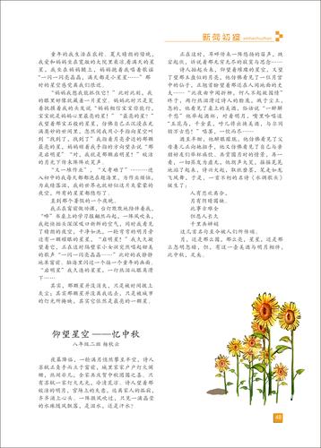页码 (48)