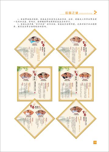 页码 (100)