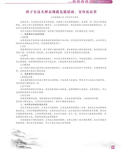 页码 (4)