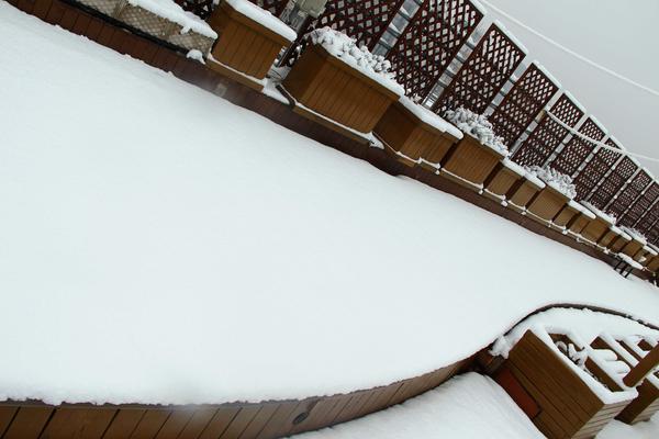 郑州49中雪景 (6)
