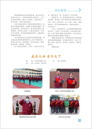页码 (100)