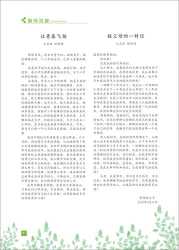 页码 (41)