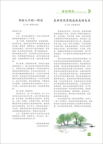 页码 (100)