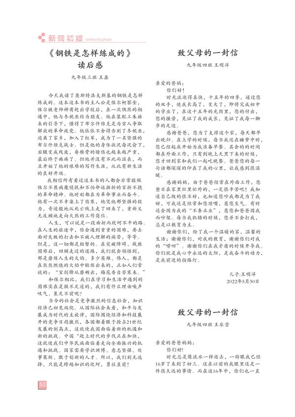 页码(53)