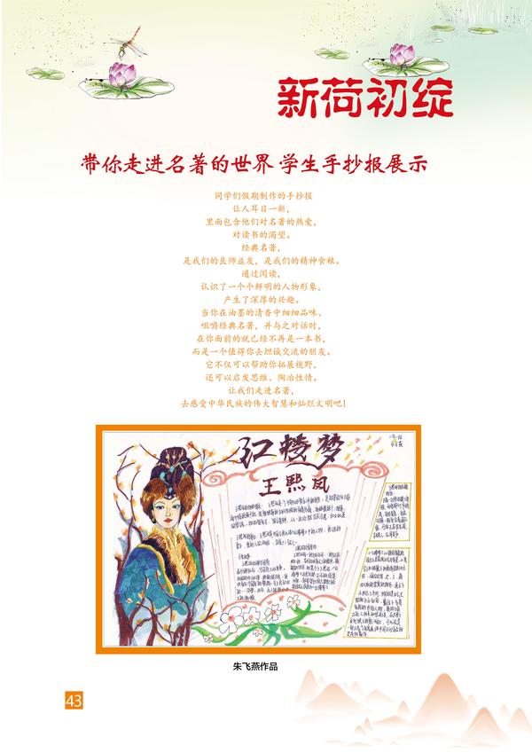 页码 (43)