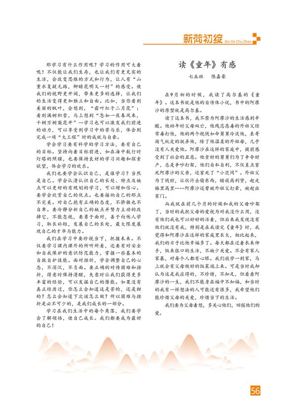页码 (56)