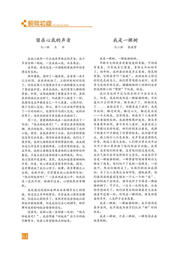 页码 (63)
