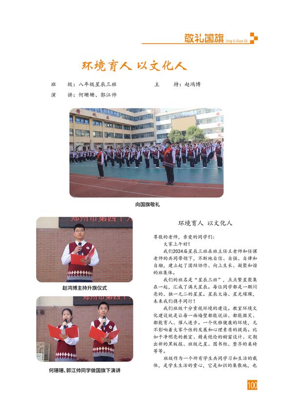 页码 (100)