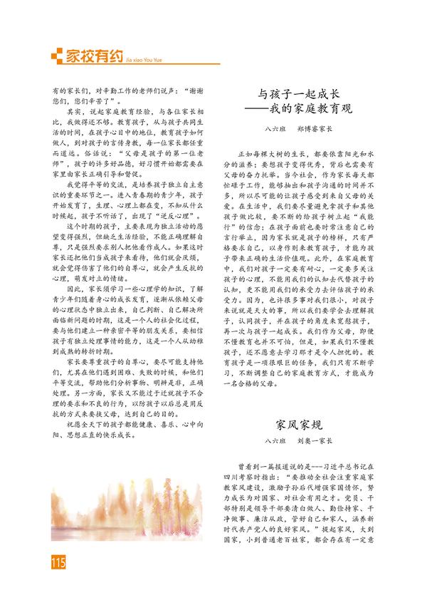页码 (115)