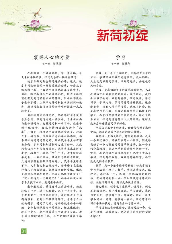 页码 (31)