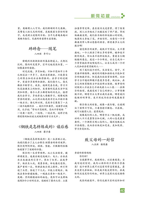 页码 (40)