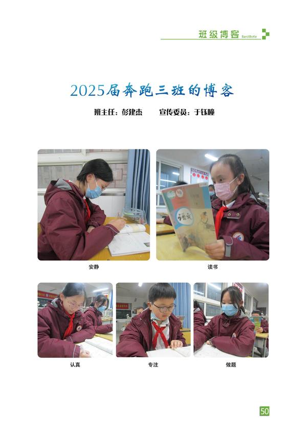页码 (50)