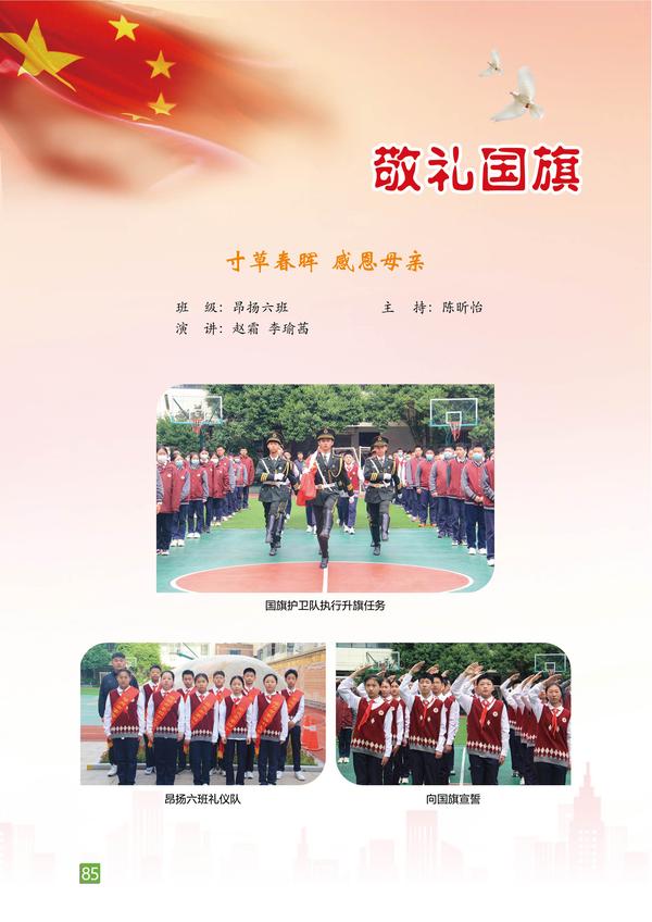页码 (85)