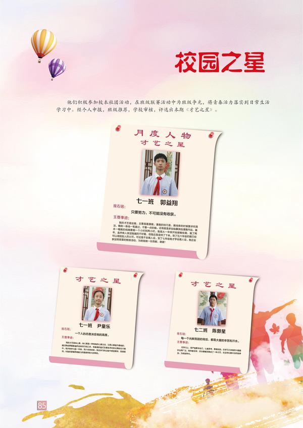 页码 (85)