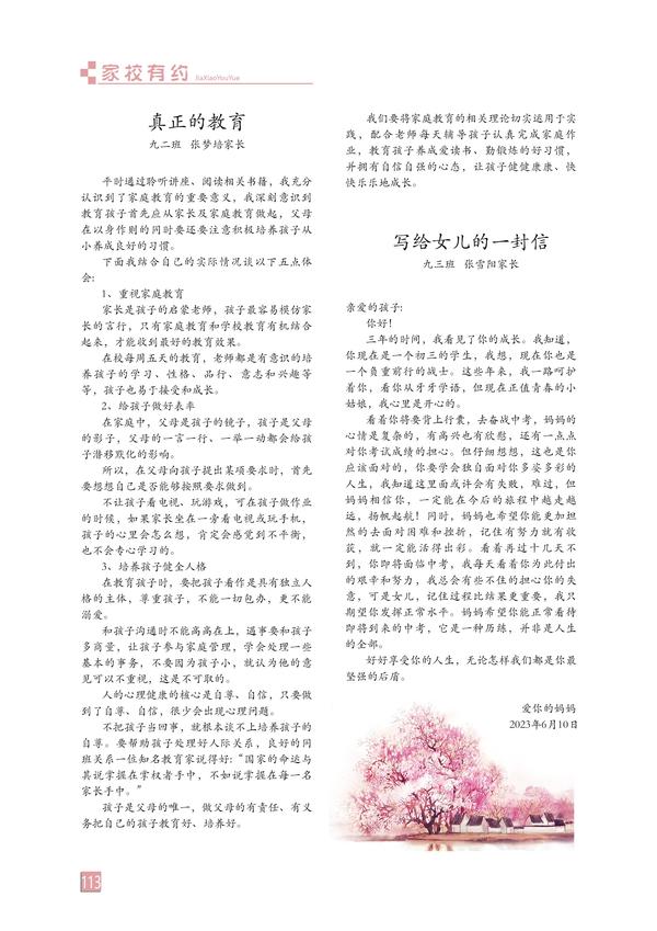 页码 (113)