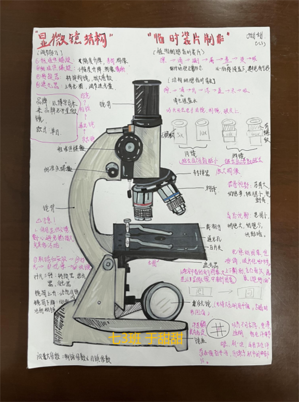 图片 9
