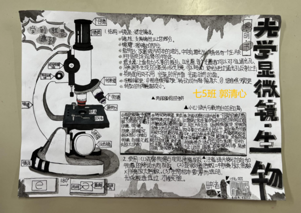 图片 13