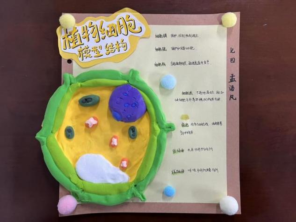 图片 18