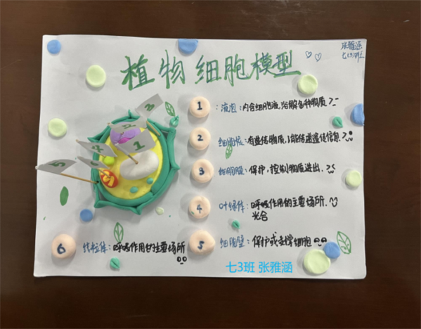 图片 21