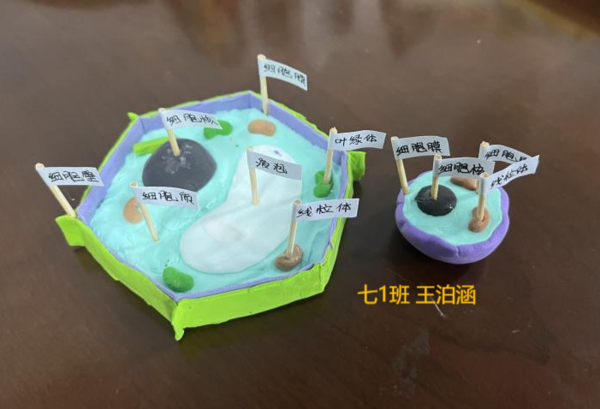 图片 23