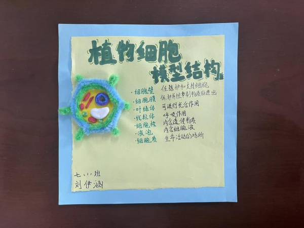 图片 24